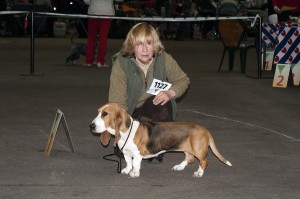 Fanfare op show in leeuwarden beste van het ras