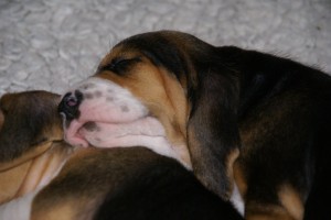 ...dat ligt lekker...