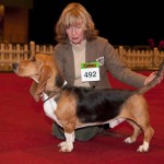 Emilion op show