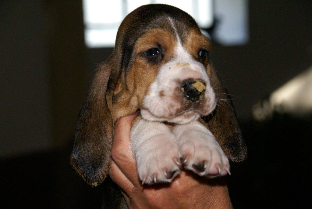 Dat was ook smullen!