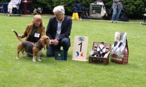 Emilion de Bérénice