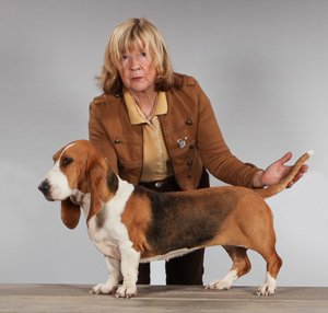 Fanfare de Bérénice