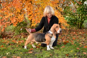 Hochepot de Bérénice