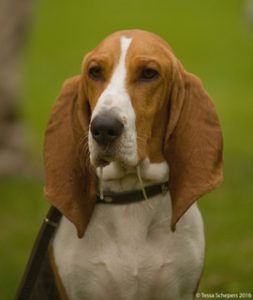 Jalabert op KCM 2016 bew